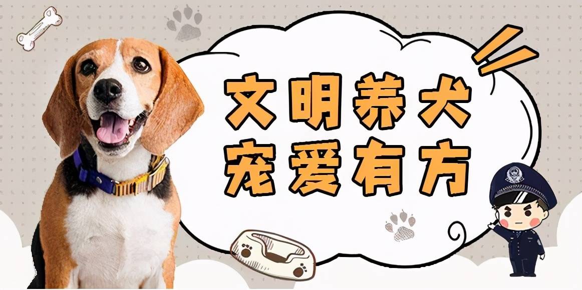 城市GDP吧慕洋犬_慕洋犬表情包