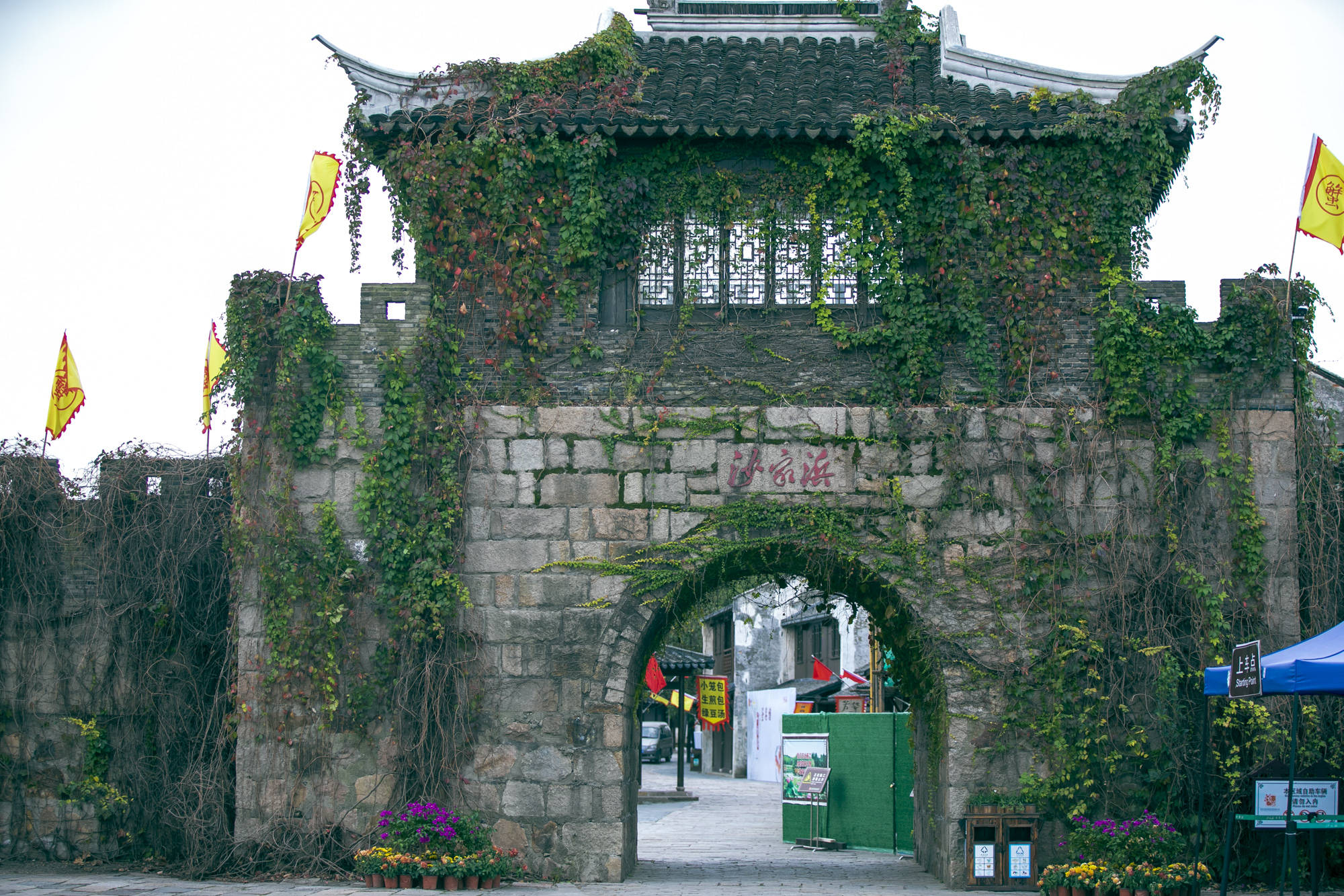 常熟沙家浜的秋天太“撩人”,大闸蟹,芦苇荡,烟雨江南好风光 常熟沙家浜的秋天太“撩人”,大闸蟹,芦苇荡,烟雨江南好风光