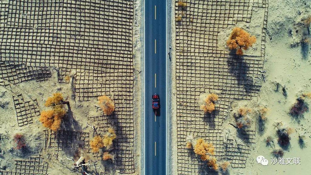 活动|沙雅十六万元摄影大奖等您拿!