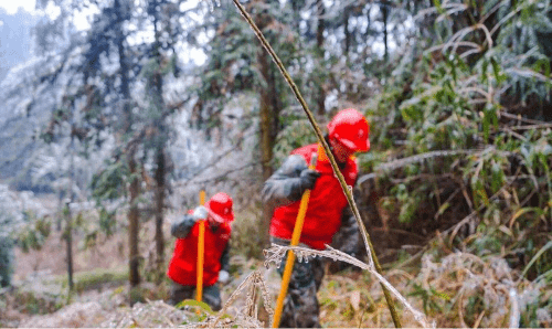 运检|电力运检工人是如何被AI解放的？