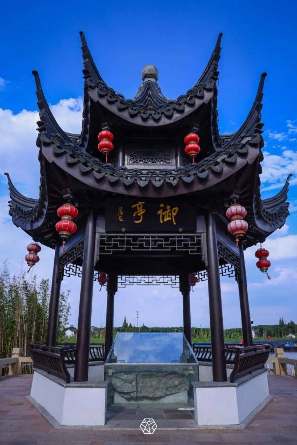 运河稻浪花海苏州北太湖望亭秋色藏不住了