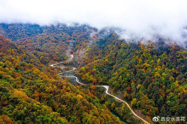 陕西最美云端之上“油画森林”，龙头山云雾缭绕彩林斑斓美如仙境_景区