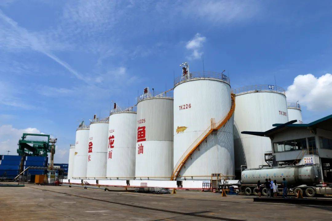 上市|“鱼”跃创业板！益海嘉里金龙鱼成功首发上市，品牌渠道实力强化龙头地位