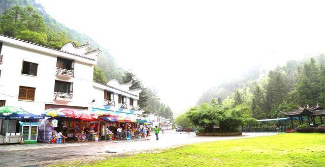 宁德gdp赶超莆田_宁德时代(2)