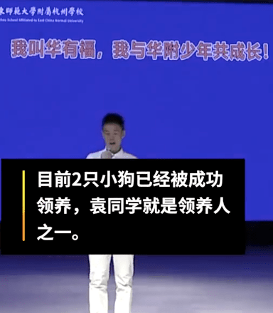 流浪狗|家长质疑学校里有流浪狗，校长却亲自为它们组织了一场演讲……