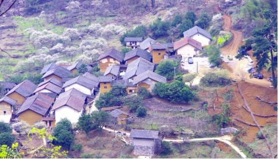 中国定居美国人口_张爱玲定居美国