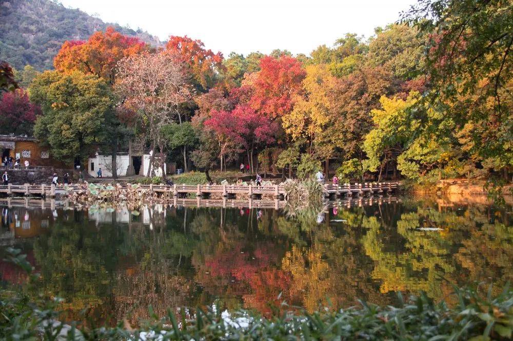 天平山要红啦