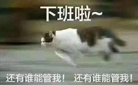 c9fca0384ef64775a8978bd2b7c6d501.jpeg