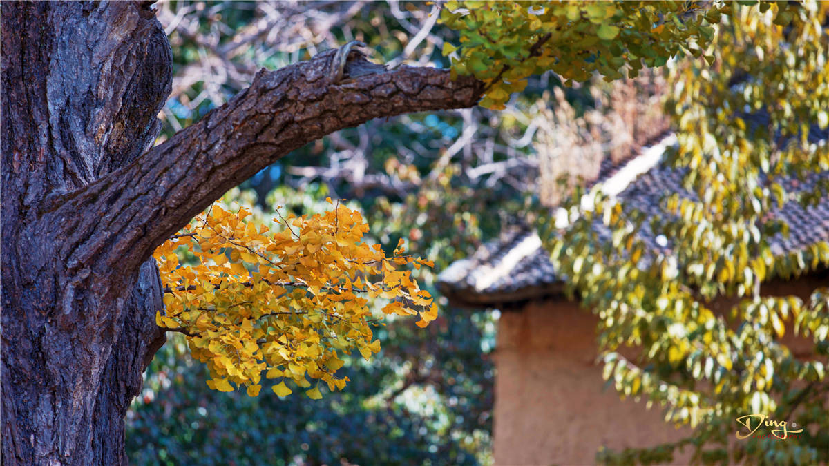 张良|汉朝张良为何隐居洛阳这个地方？白云山下真的有仙气吗？