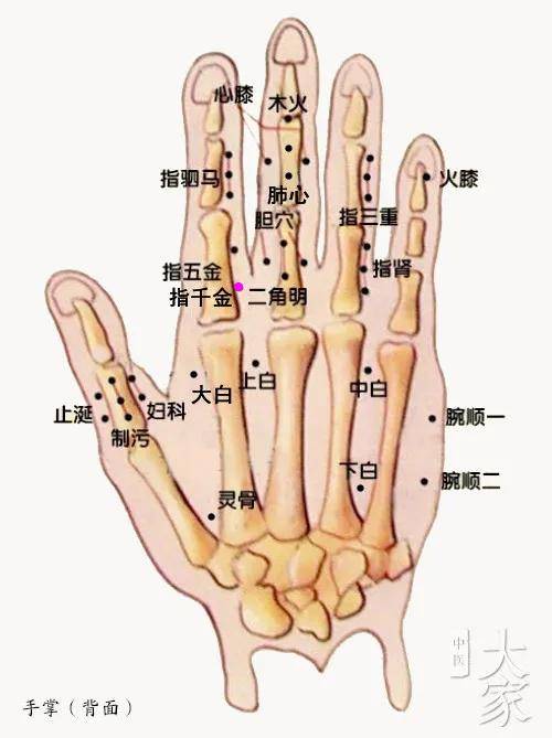 董氏穴位分享:一一手指部位·指千金穴(中医分享,仅供