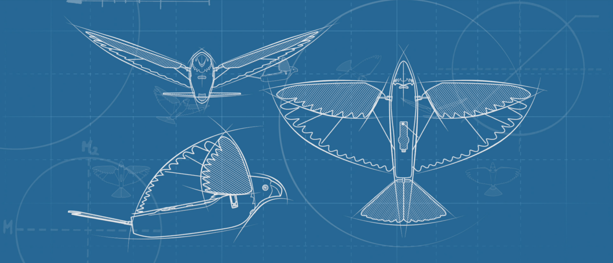 Bird|汉王仿生扑翼鸟Go Go Bird1000亮相上海玩博会，与萌娃共享仿生AI盛宴！