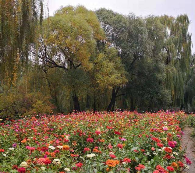 学科|传媒类考研院校推荐：中国传媒大学院校分析