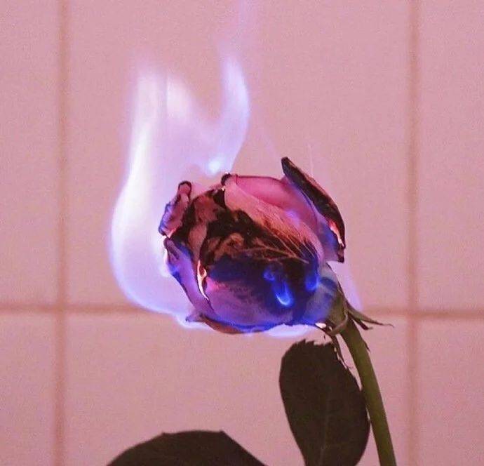 
晚放心情说说短句：给你多次偷偷点开头像的谁人人说一句话吧-b体育(图7)