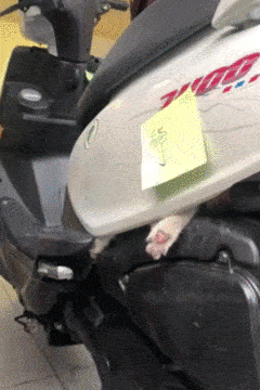 fb365f84be6f4d44a4ea62266e8a52eb.gif