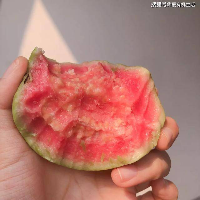 广西番石榴怎么吃