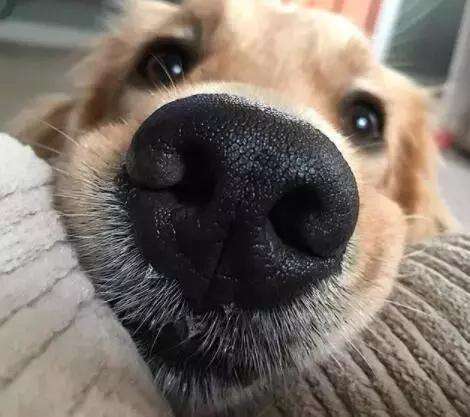 9dd26552e29d45d3a5a81e1d28516dfe.jpeg