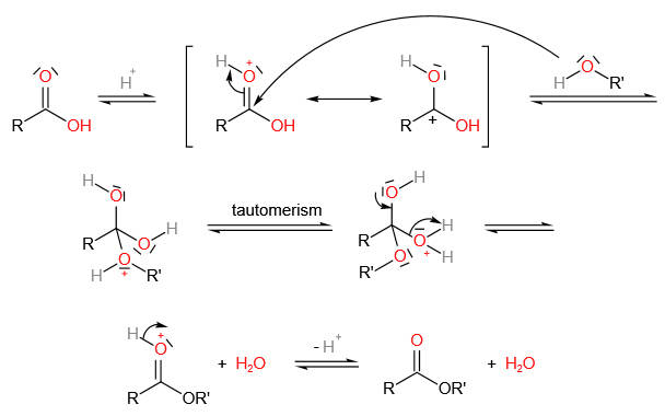 有机人名反应fischer酯化反应fischeresterification