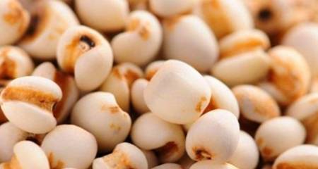 气血|推荐3种食物,排毒消脂,补益气血好食物吃出好身体