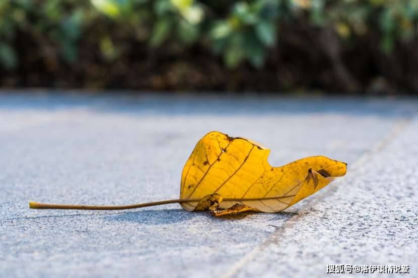 南宋中期人口_南宋中期的山水画图片