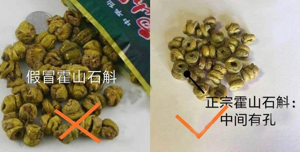 教你一招,轻松辨别真假霍山石斛