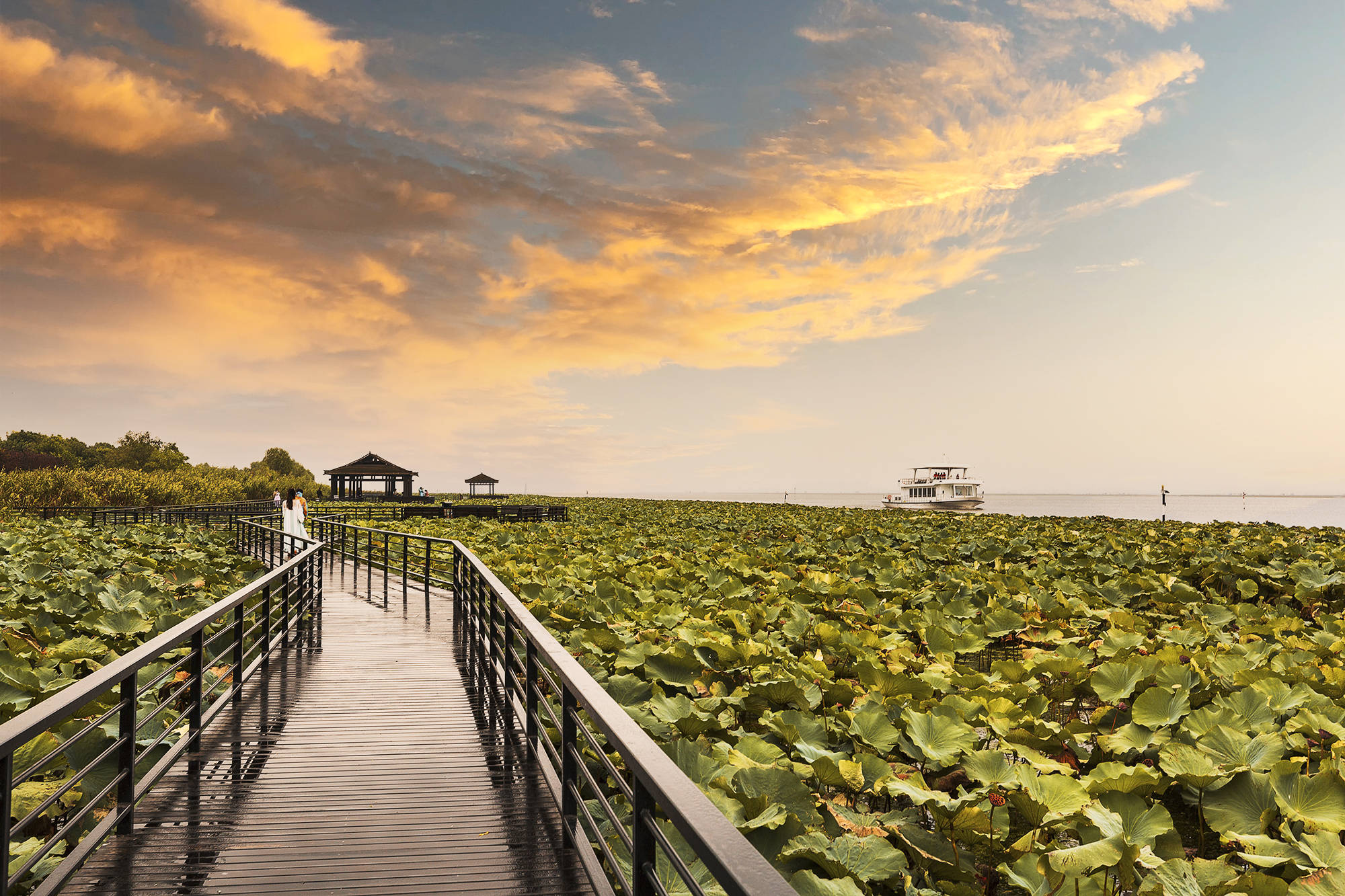 人生|不是阳澄湖蟹好,人生何必住苏州