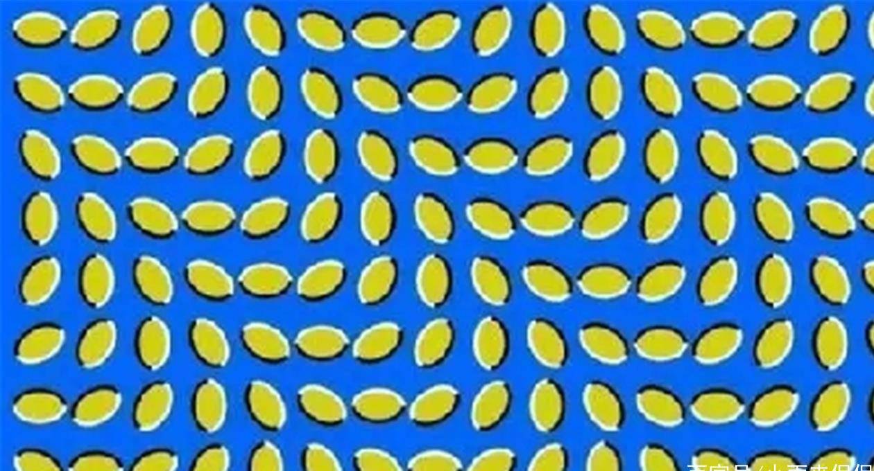 6996b43560de40598b9c8292a780a1e6.jpeg