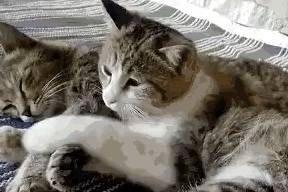 包包|极少人知道的好品味，就是这么的让人移不开眼球！