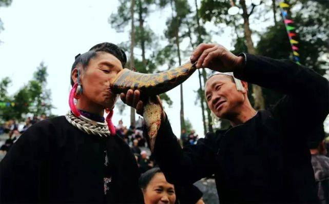 云南人到底是有多稀奇