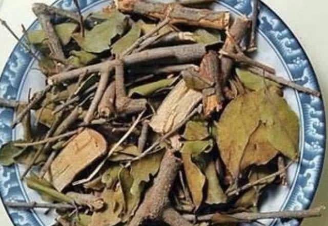 肾是人体的清道夫 1c5f3333fca04d2ebbdcd135e87177d8.jpeg