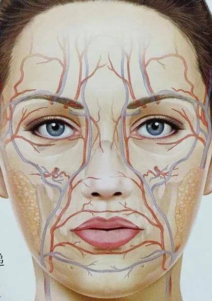 半藏|撞脸半藏森林美上天，却非要整成阿凡达，这位女明星何必呢？