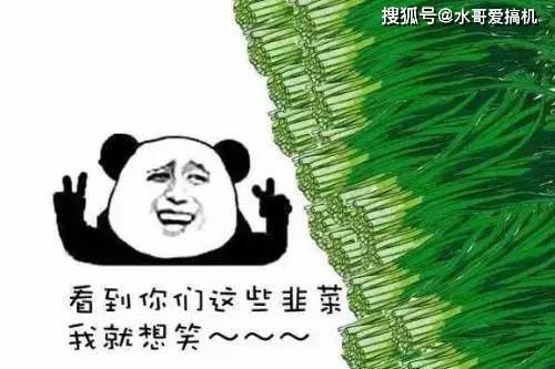 0bfb84d553734530806c30b59b803b2e.jpeg