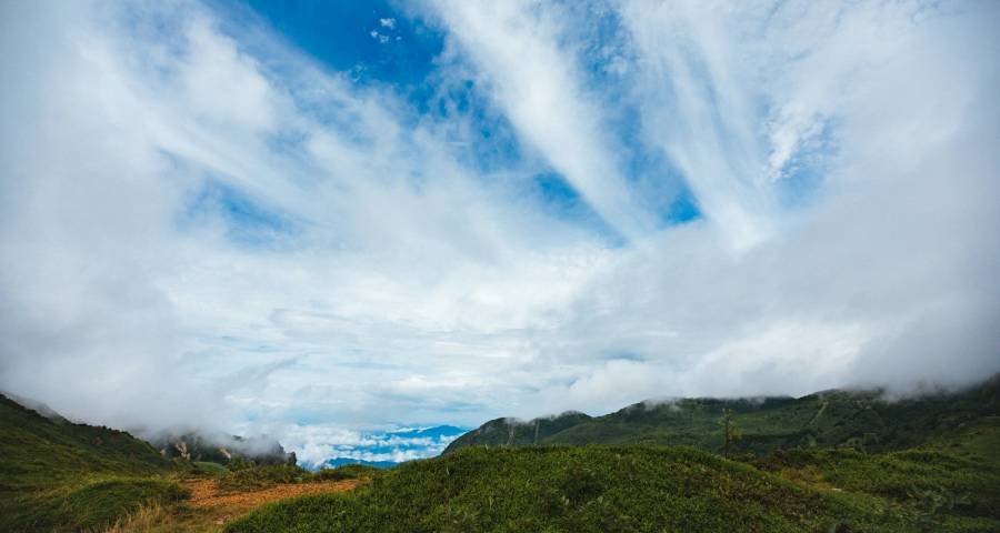 双十一前夕家电消费者却提前变脸-家电圈官网