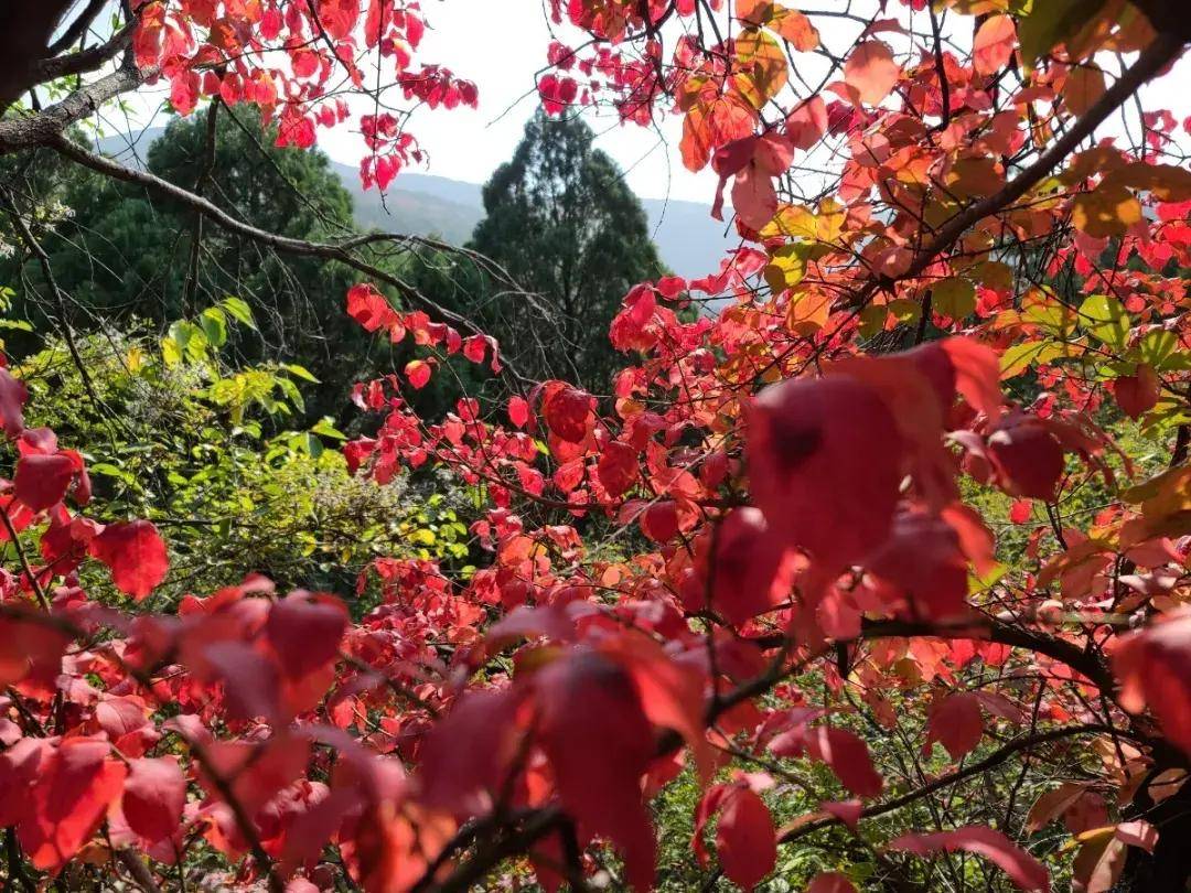 秋游济南秘境佛峪大峡谷 秋游济南秘境佛峪大峡谷