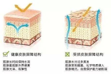 心机|娜扎为艳压暴露心机？却还是败给二字低调女星...