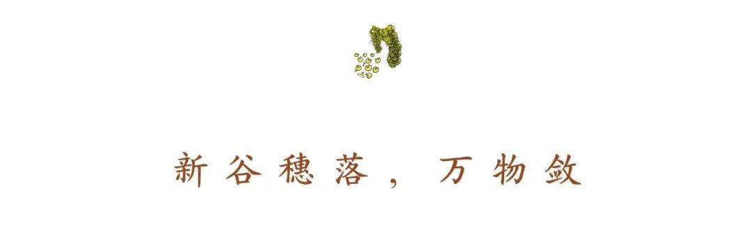 小米|150天修炼期只为这一碗米油浓稠小米粥延庆山地小米十月秋收