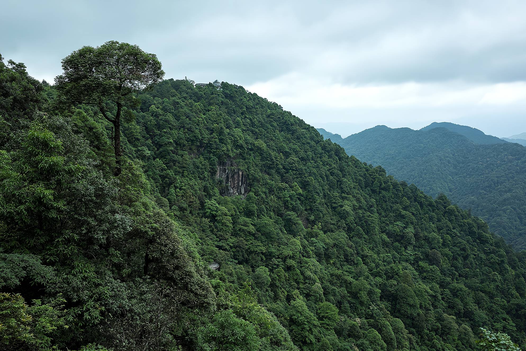 安远县有一处国家风景名胜区，为香港同胞饮用水源头，你去过吗？_三百山