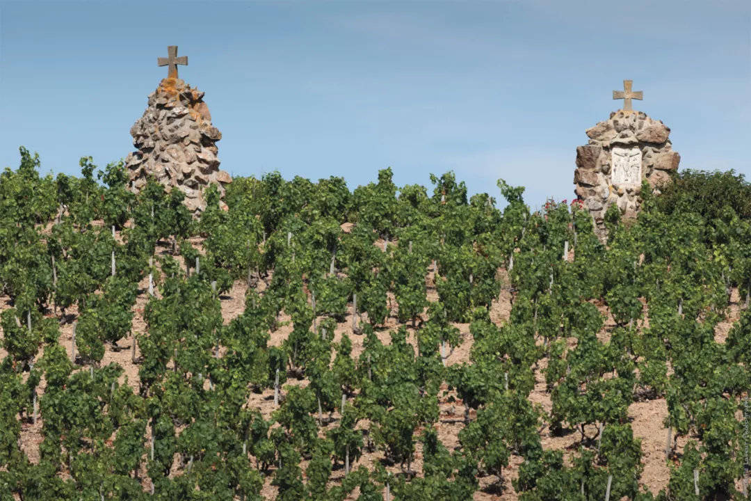 葡萄|博若莱只有新酒?大错特错