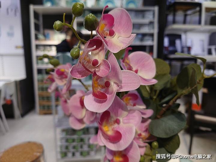 索尼|前沿科技让你大呼专业 索尼Xperia 1 II评测