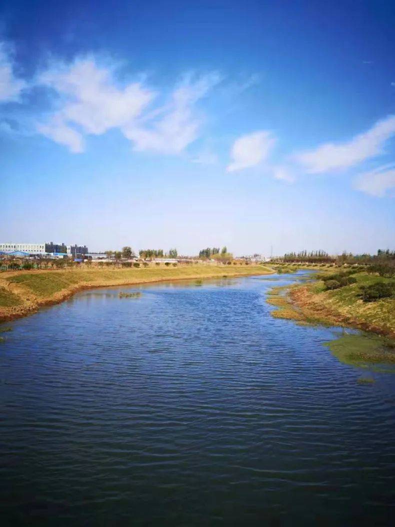 青龙河,陷泥河,李公河.临沂通报24段黑臭水体治理情况!
