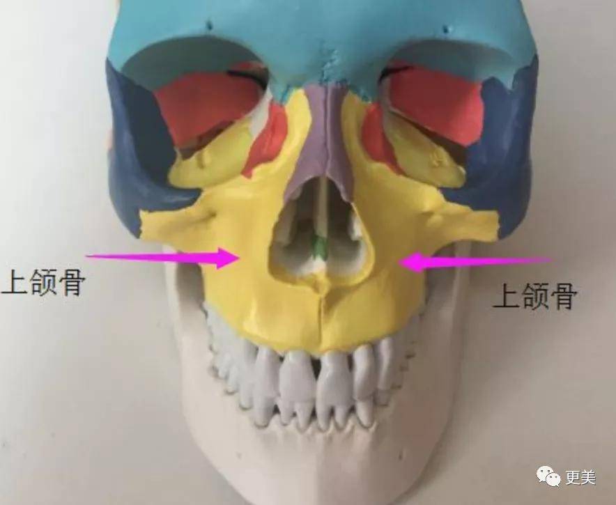 面部|韩国小姐冠军出炉，和王思聪前女友撞医生，才22岁就老了...