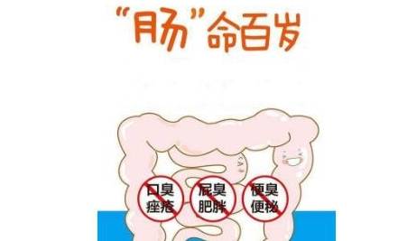 6e208eaff49a4c57a3d06e596f59ecfa.jpeg