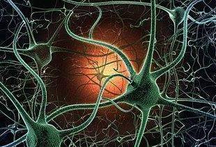 什么叫二型糖尿病性周围神经病变 82a9ccc08bb94a0fada2d16f025f982b.jpeg