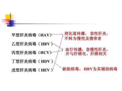 九月|乙肝/丁肝在研新药JNJ-3989，九月启动II期，注射剂型