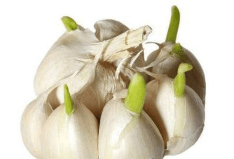 eb5c007c75ba427db062aa3186ebb31a.png