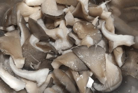 蘑菇干怎么泡软 8132c185a2804097912355d4a2092638.png