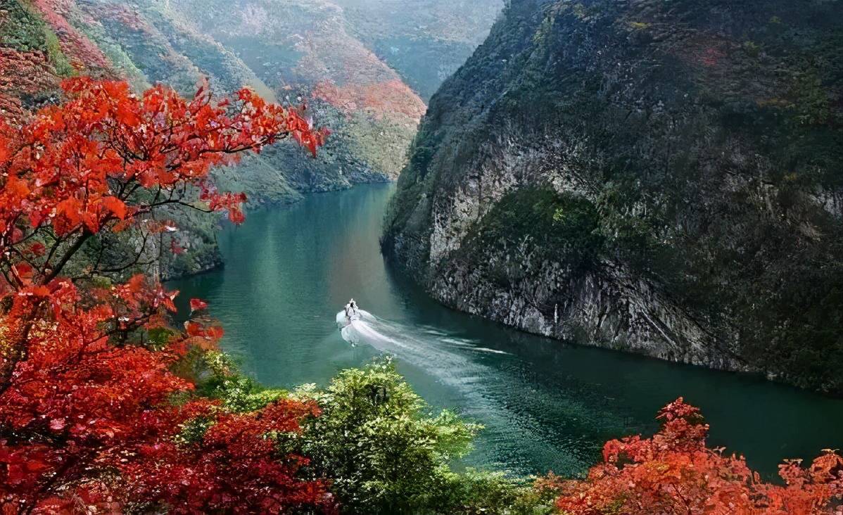 巫峡一带的红叶是最为壮观的,乘船而下,两岸漫山遍野的红叶,黄叶