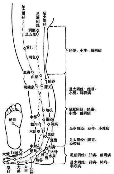 小白自学中医,治病救急常用穴位——"五腧穴"(精华版)