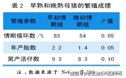 上午立即进行输精,下午静立,下午立即进行输精,后备母猪发情周期不