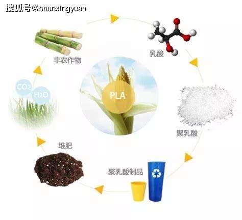 使用生物降解塑料袋大大减少了塑料制品对环境的污染,真正的做到绿色