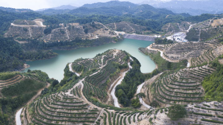 西岩山岽顶湖生态茶园入选广东省森林康养基地